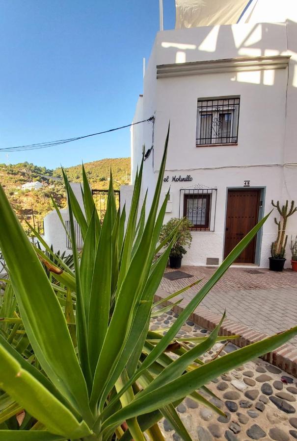 Villa El Molinillo Ojén Exterior foto